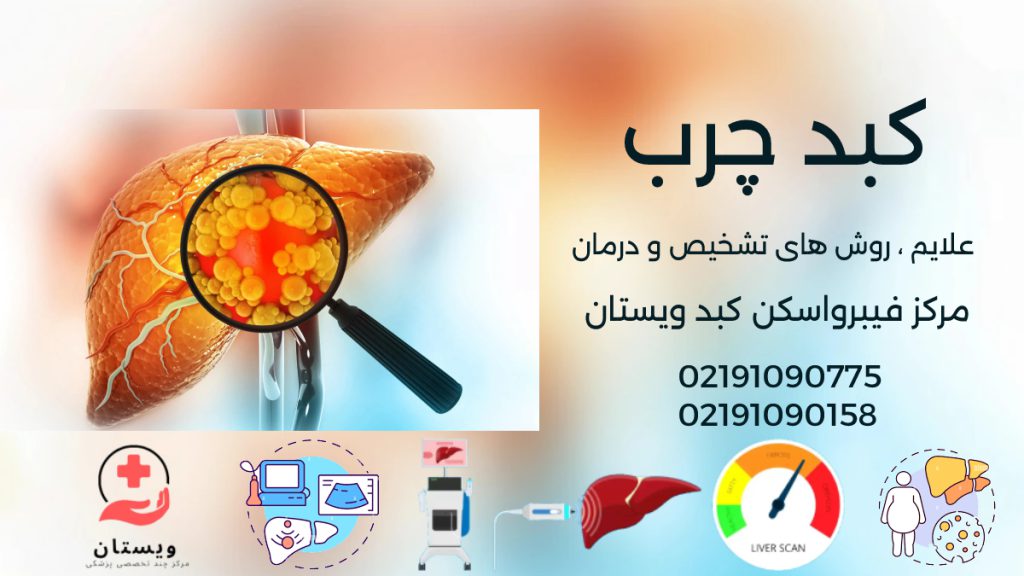 علائم کبد چرب - لوگوی راه های تشخیص کبد چرب سونوی کبد فیبرواسکن کبد