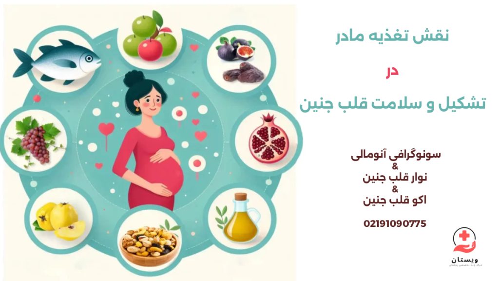 نقش تغذیه در تشکیل قلب جنین