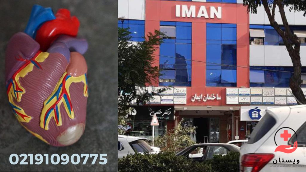 بهترین متخصص قلب تهران تصویری از کلینیک ویستان در و وعکس ماکت عضله قلب