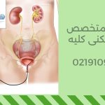 بهترین دکتر سنگ شکنی کلیه تهران|معرفی بهترین اورولوژیست خانم 1405