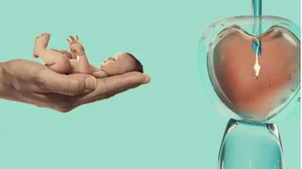تصویری از تزریق اسپرم به داخل تخمک در روش میکرواینجکشن