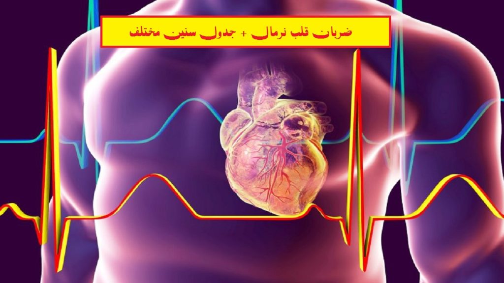 ضربان قلب نرمال چند است؟